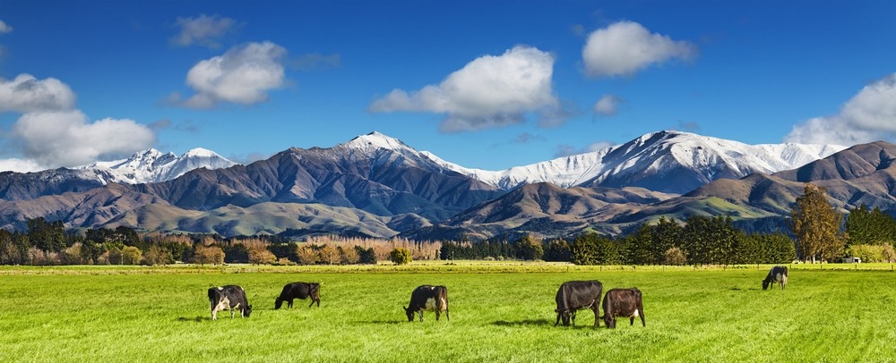 New Zealand