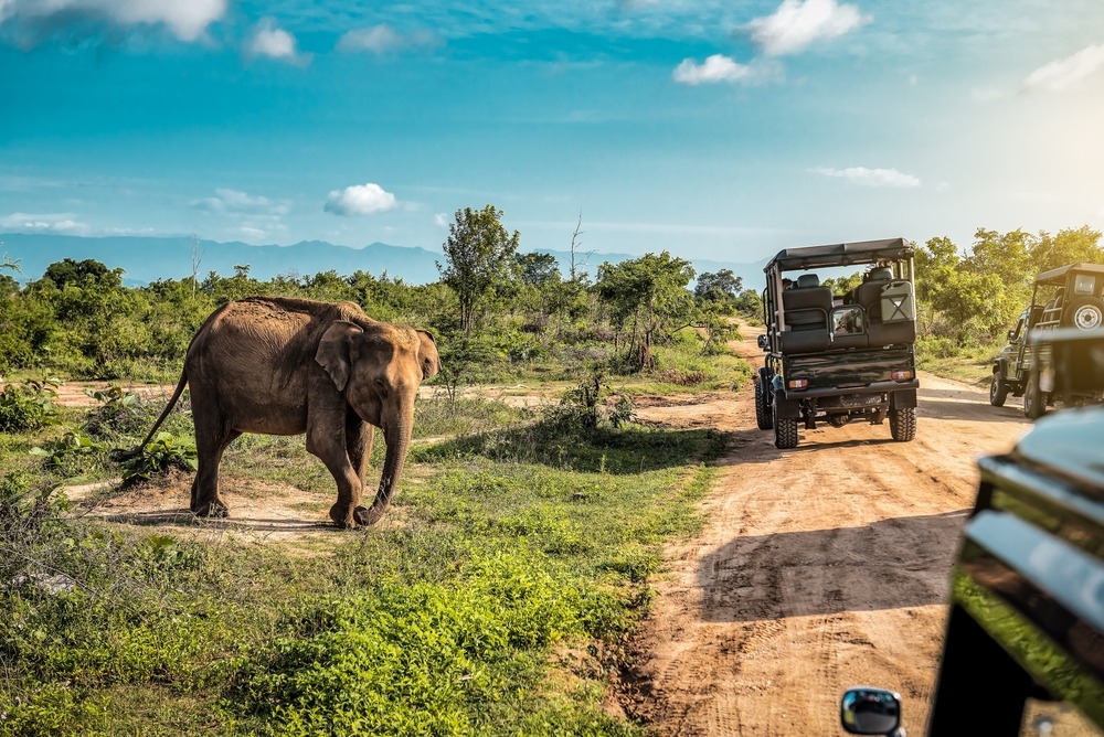 How to Explore Sri Lanka on a Budget Without Missing Out